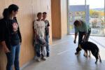 Thumbnail for the post titled: Mantrailing an der Kraichgau-Realschule